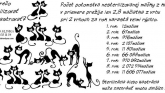 Kastrácie ferálnych mačiek - obrázok 1